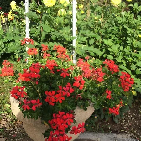 Σπίτι διακοπών Le Du Petit Ecureuil *