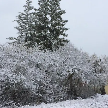 Le Du Petit Ecureuil *