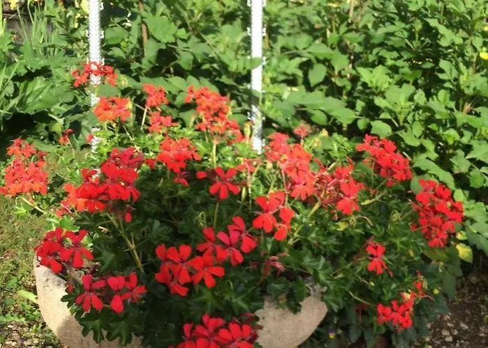 Casa vacanze Le Du Petit Ecureuil *